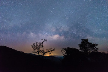 Beautiful sky with many stars above the forest, Milky way.