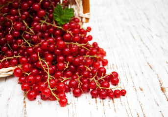 fresh red currant