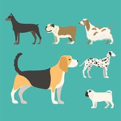 Funny cartoon dog character bread in flat style puppy pet animal doggy vector illustration.