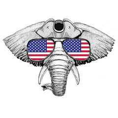 Obraz premium African or indian Elephant wearing pirate hat Cocked hat, tricorn Sailor, seaman, mariner, or seafarer