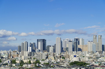 東京都市風景　新宿高層ビル群と東京スカイツリー