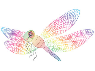Naklejka na ściany i meble Colorful Hand Drawn Funny Dragonfly. Children Drawing of Cute Insect. Sketch Style. Vector Illustration.