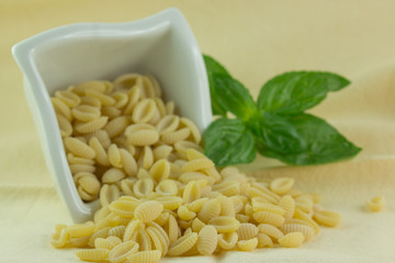 Gnocchetti sardi e foglia i basilico