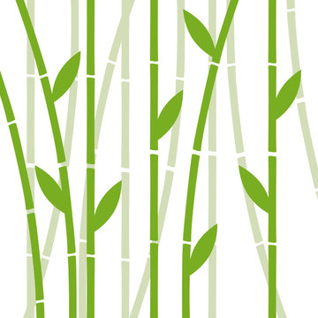 Chinese or japanese bamboo grass oriental wallpaper