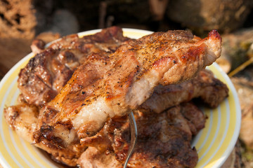 Close up view of juicy pork steak on fork cooked on an open flame grill on big white plate..