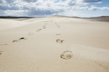 Sanddünen