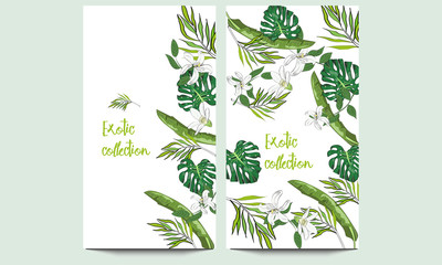 Vertical vector banners of hand drawn tropical palm leaves and flowers. Exotic collection. An idea for design, invitation, save the date card.