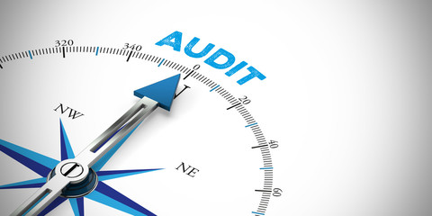 Business Audit als Konzept