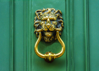 Door with brass knocker in the shape of a lion's head, beautiful entrance to the house