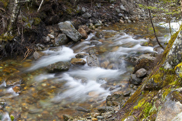 Naklejka na ściany i meble River Sream Mount Washinton area via Ammonoosuc ravine trail
