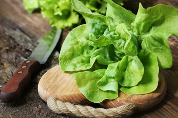 Raw green organic butter lettuce ready to chop on cutting board with knife - Powered by Adobe