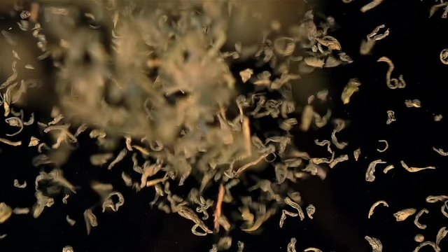 High quality video of falling green tea in real 1080p slow motion 250fps