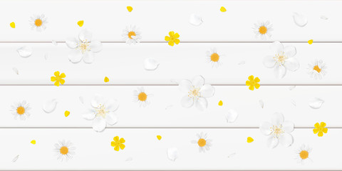 Pastel background with white flowers.