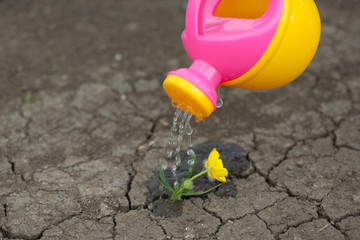 A pink yellow watering can water the ground. Drops of water spill, dissipate moisturize the earth. Help fight the drought.
