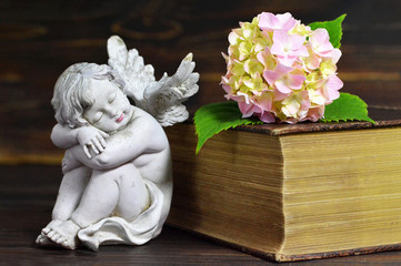 Angel, flower and closed book