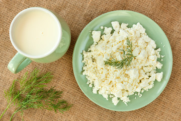 Cheese in green plate on linen background with sprig of seasoning.