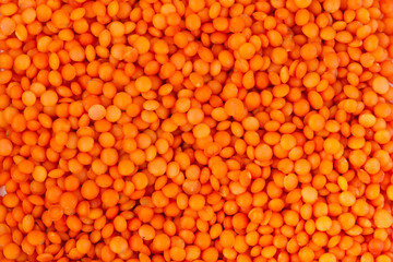 red lentil