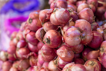 red onion in the market