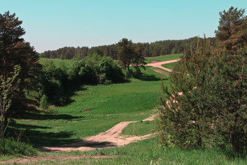 Forest Road