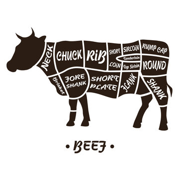 Scheme of beef animal silhouette, meat cuts diagrams for butcher shop. Vector illustration.