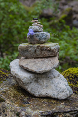 Stone pyramid with blue bellflower on mountain tourist route in rainy weather, Norway