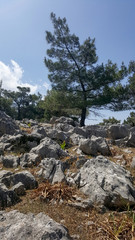 stones and hills in rhodes greece