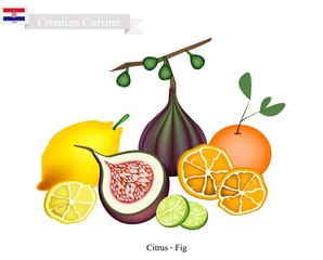 Citrus Fruits and Fig, The Famous Fruit in Croatia