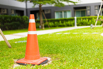 Traffic cones standing on the green grass