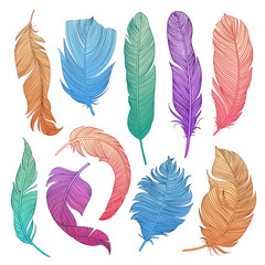 Hand-drawn feathers set. Cool sketch illustrations for your design. Eps10 vector. 