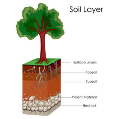 Education Chart of Science for Layers of Soil Diagram