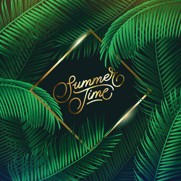 Modern Tropic background with frame for your text. Palm leaves composition. Eps10 vector.