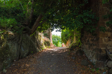 Obraz premium Monterano (also known as Ancient Monterano) is a ghost town in Italy , located in the province of Rome, perched on the summit plateau of the hill tuff.