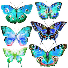 Fototapeta na wymiar beautiful butterflies, set,watercolor,isolated on a white