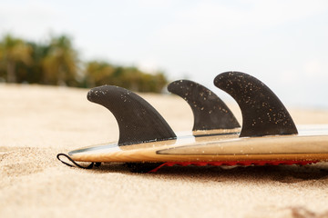 Close up view of a carbon fiber fins on a design wooden surf shortboard surfboard board at sunrise or sunset on sand beach with palm tree. Vacation concept. Summer holidays. Tourism, sport. - 161565456