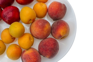 Peach, nectarine and apricot on white plate