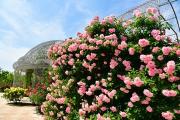 フラワーガーデン