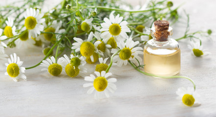 Camomile essential oil and camomile flowers