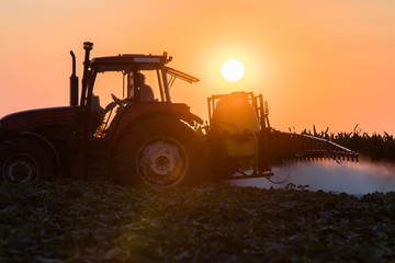 Obraz premium Tractor spraying vegetable field at spring