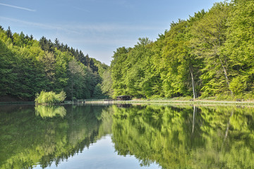 Waldsee