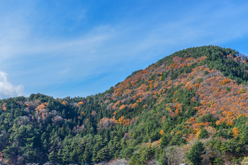 Leaves change the color on the mountain under the beautiful sky