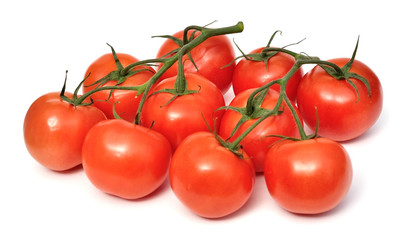 Branch Tomatoes Isolated