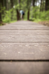 Ecological path of wooden planks to walk in the woods, in the background a blurred background of a man standing on the bridge during the summer warm day.