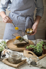 Story in bright colors of planting succulents into florarium