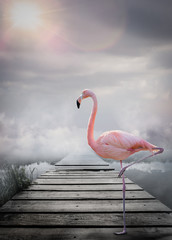 Fototapeta premium Świat fantasy flamingów