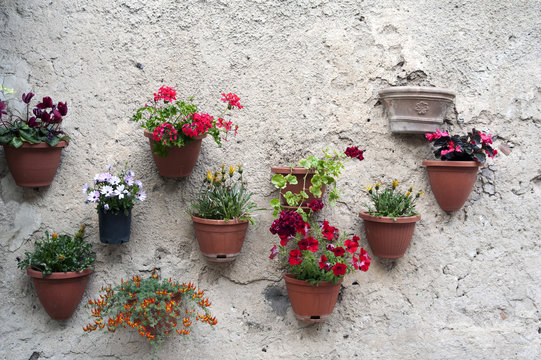 Flowerpots hung up at the wall