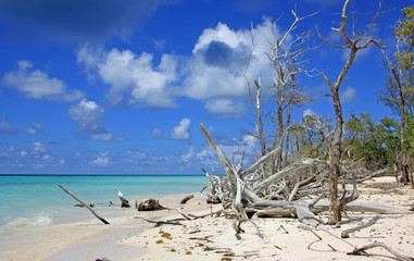 plage cubaine