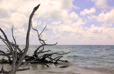 plage cubaine Baie des Cochons