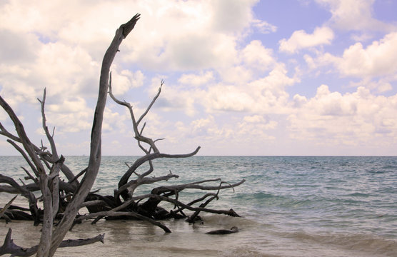 plage cubaine Baie des Cochons