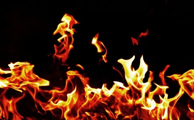 Fototapeta premium flame of fire in darkness
