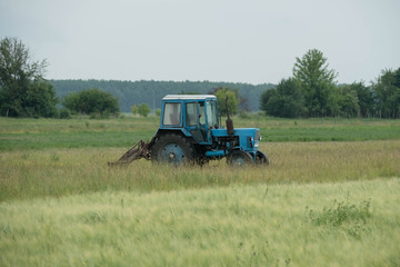 Obraz premium The tractor in the field works mowing grass on a meadow after a rain